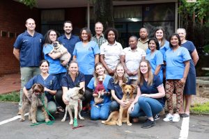 vet house team 300x200